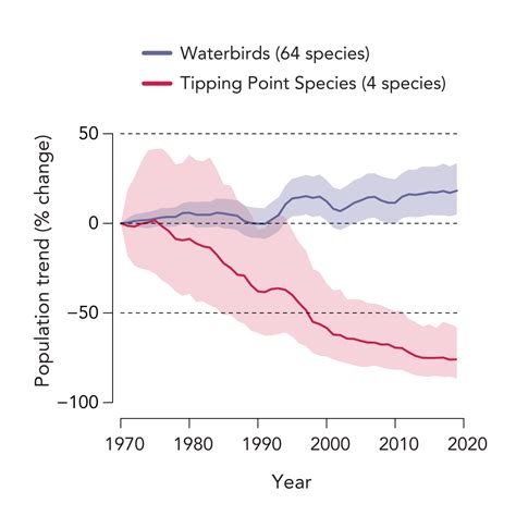 waterbird population